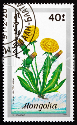 Postage stamp Mongolia 1991 Dandelion, Taraxacum Officinale