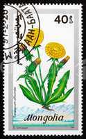 Postage stamp Mongolia 1991 Dandelion, Taraxacum Officinale