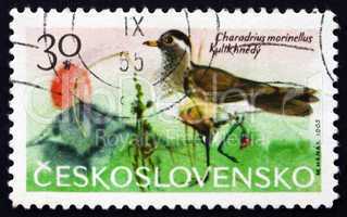 Postage stamp Czechoslovakia 1965 Dotterel, Wader Bird