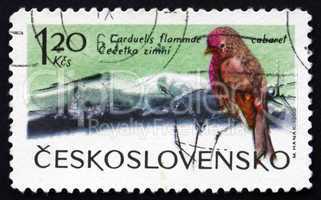 Postage stamp Czechoslovakia 1965 Lesser Redpoll, Bird