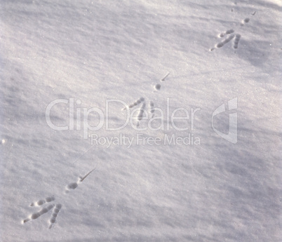 Footprints