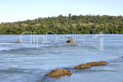 Jungle river running to the Iguacu