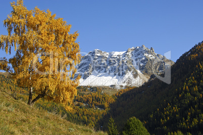 Fall in Val d'Anniviers