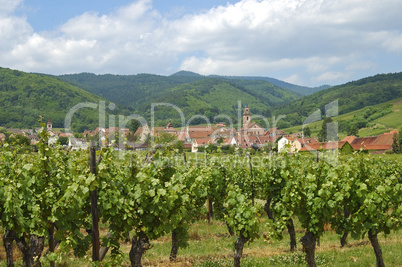 Wineries Alsace France