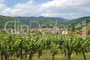 Wineries Alsace France