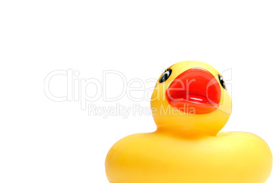 Rubber duck