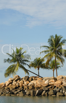 Image of a Beautiful Palm Lagoon