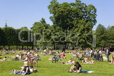 Sun bathing in Kings Park