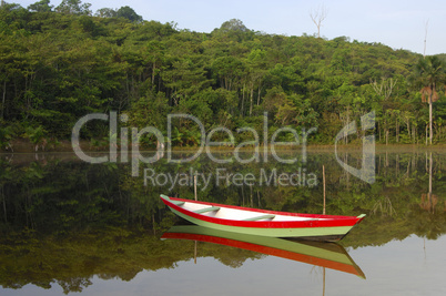Boat on a jungle river