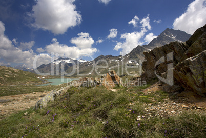 Gavia Pass