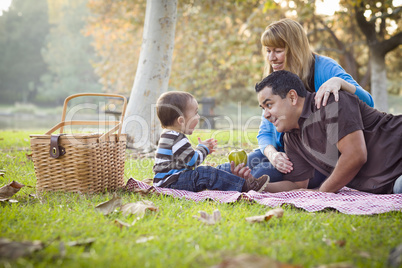 Happy Mixed Race Ethnic Family Having Picnic In The Park