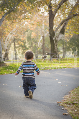 Young Baby Boy Walking in the Park