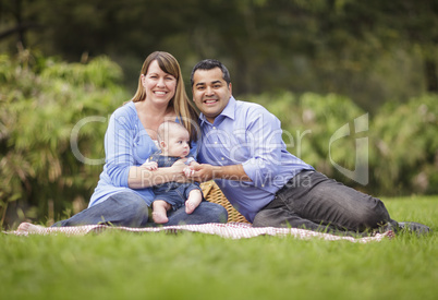 Happy Mixed Race Family Playing In The Park