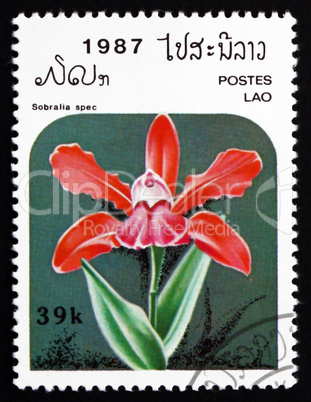 Postage stamp Laos 1987 Sobralia Spec, Orchid, Flower