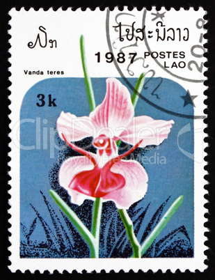 Postage stamp Laos 1987 Vanda Teres, Orchid, Flower