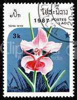 Postage stamp Laos 1987 Vanda Teres, Orchid, Flower