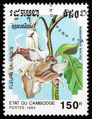 Postage stamp Cambodia 1993 Angel Trumpet, Flower