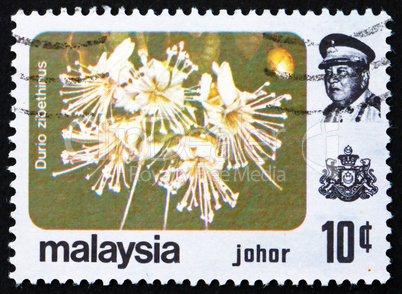 Postage stamp Malaysia 1979 Durian, Durio Zibethinus, Flower
