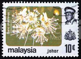 Postage stamp Malaysia 1979 Durian, Durio Zibethinus, Flower