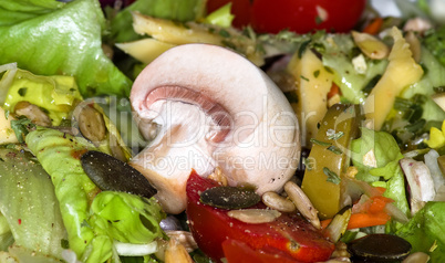 Salat Salat
