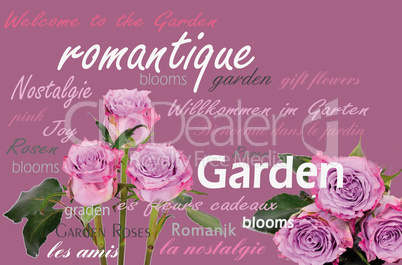 Rosen Garten Romantik Tag Cloud