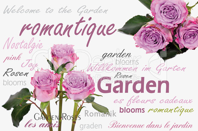 Rosen Garten Romantik Tag Cloud