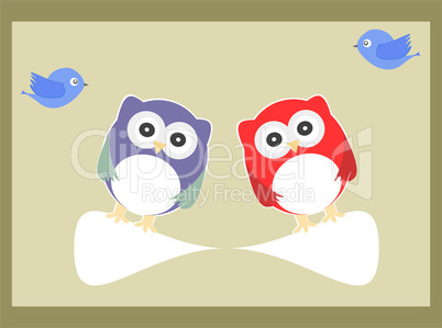 Owls and birds in baby boy invitation card