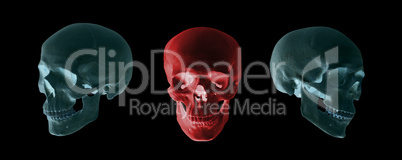 blue and red skulls