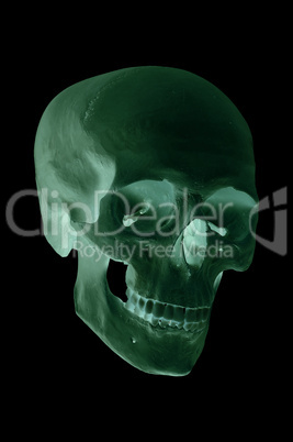 spooky green skull