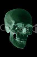 spooky green skull