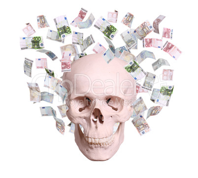 Skull in rain of euros