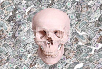 skull and dollars