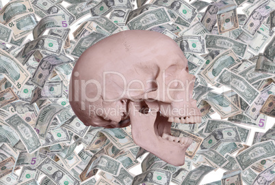 screaming skull and dollars