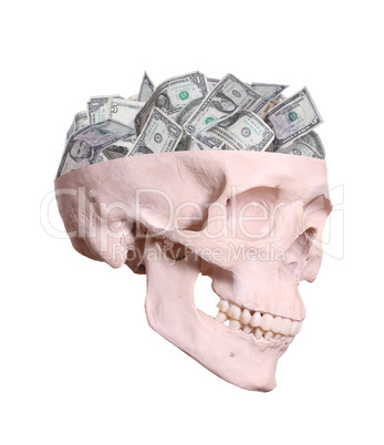 dollars as brain in skull