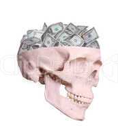 dollars as brain in skull