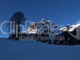 Mountain and tree in the morning, Braunwald