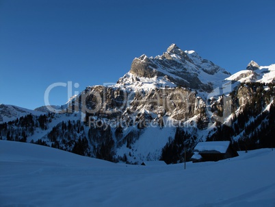 Ortstock in the early morning, Braunwald