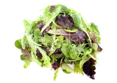 mesclun salad