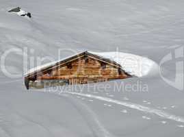 Timber hut nearly completely covered by snow