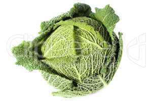 fresh cabbage