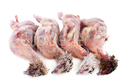 four quails