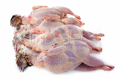 four quails