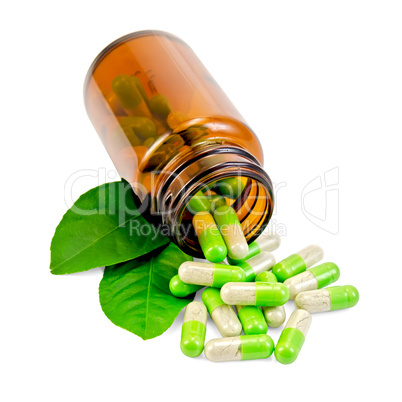 Capsules green in an open jar with leaf