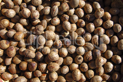 Dried fruits of the African oil pal