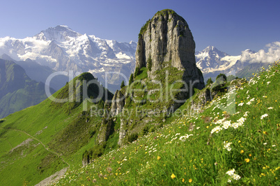Alpine panorama Switzerland