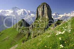 Alpine panorama Switzerland