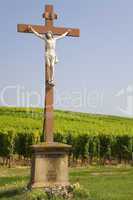 Jesus in the vineyard