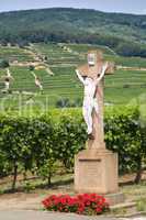 Jesus in the vineyard