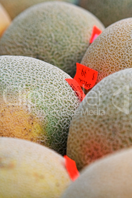 Cantaloupes