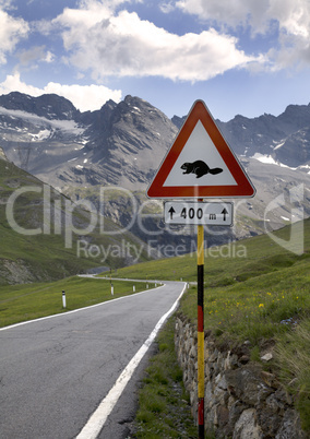 Marmot Road Sign